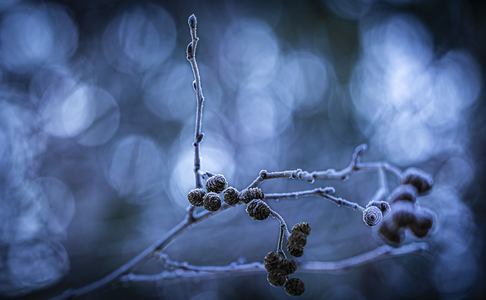 Platz 10 Sieglinde Senser